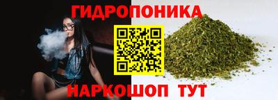 стафф Краснознаменск