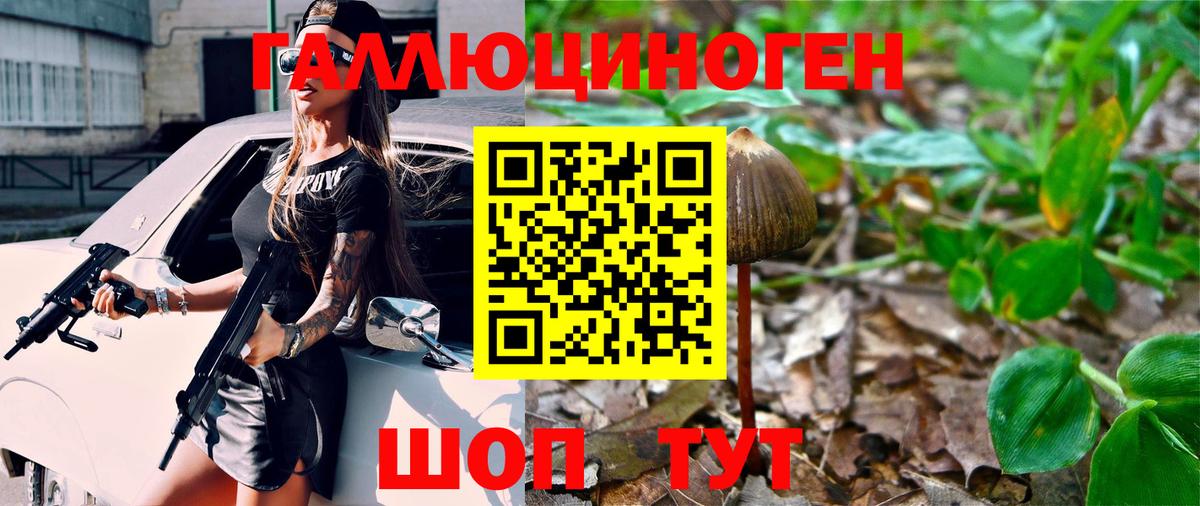 Галлюциногенные грибы Psilocybe Когалым